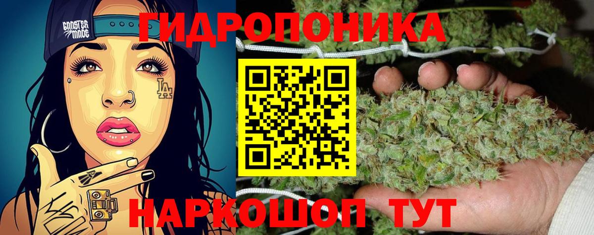 Конопля ГИДРОПОН Тавда